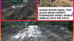 Anggota DPRD Murung Raya Desak Semua PT Turut Andil Dalam Penanganan Perbaikan Ruas Jalan